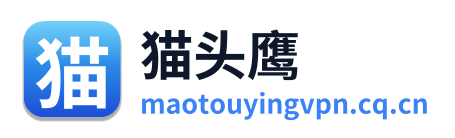 猫头鹰VPN Logo